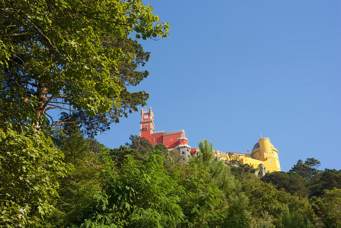 Blick auf den Pálacio da Pena von unten aus dem Park, Umgebung von Lissabon, Portugal