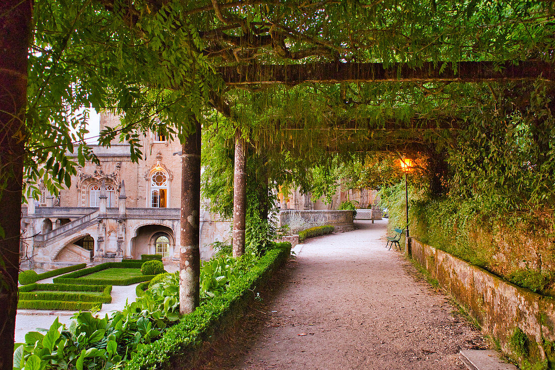 Path in the park at the Palace Hotel do Buçaco, Buçaco National Park, (Bussaco), Beiras, Central Portugal, Portugal