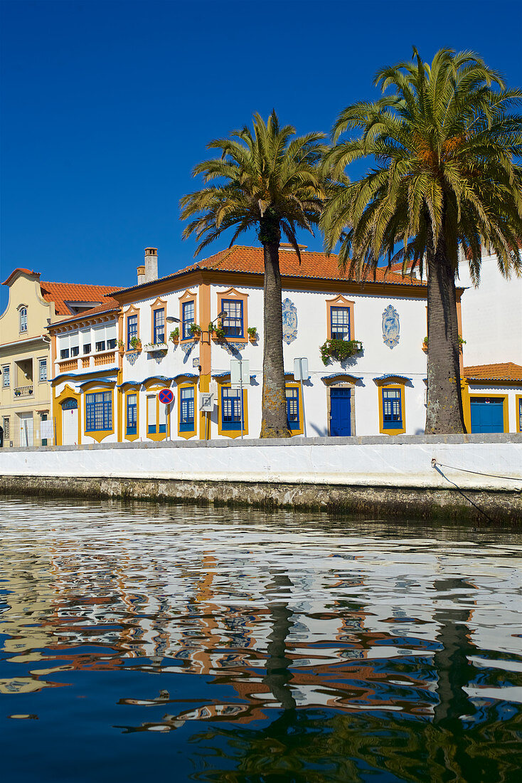 Bunt verzierte Häuser und Palmen am Kanal in Aveiro, Beira Litoral, Portugal,