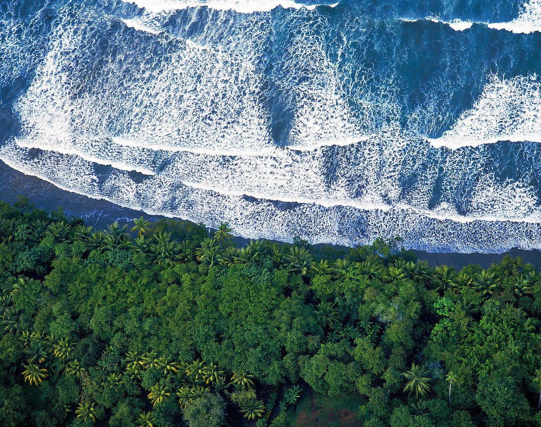 Aerial view of the palm-covered coast of Costa Rica, waves at the sea