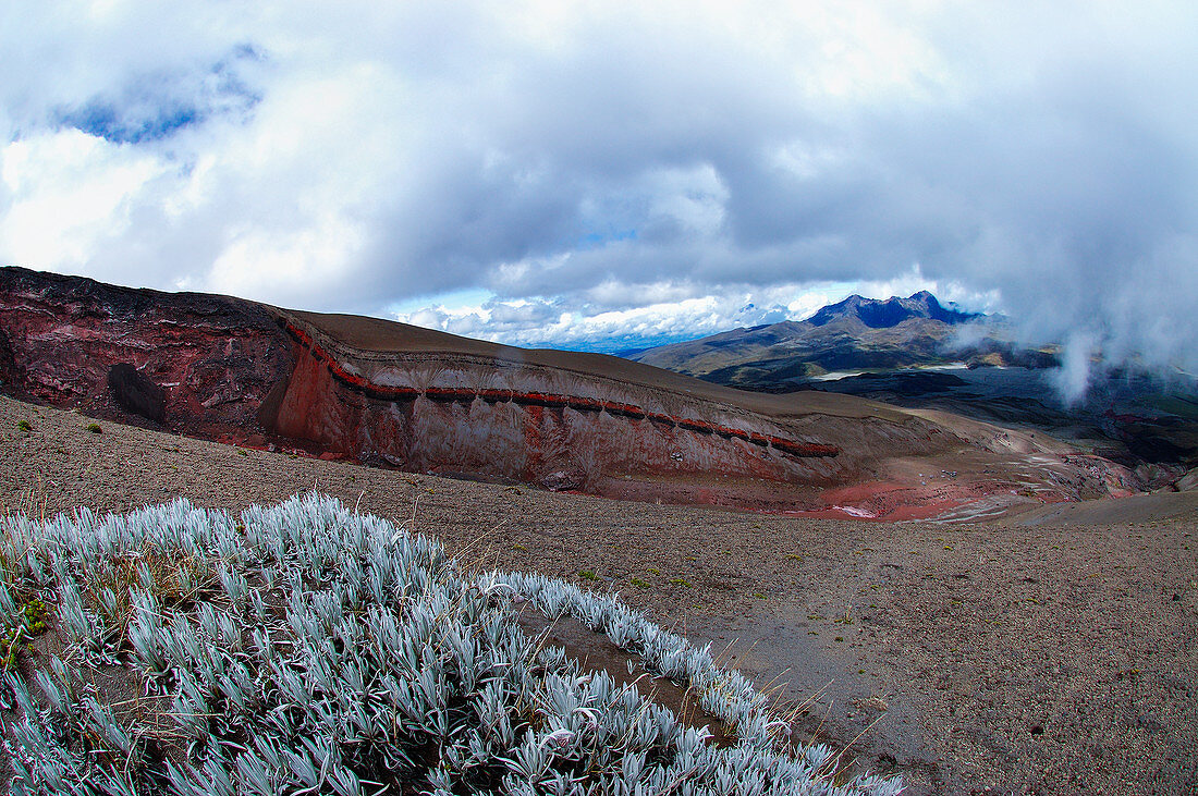 Das Hochland um Cotopaxi, Ecuador