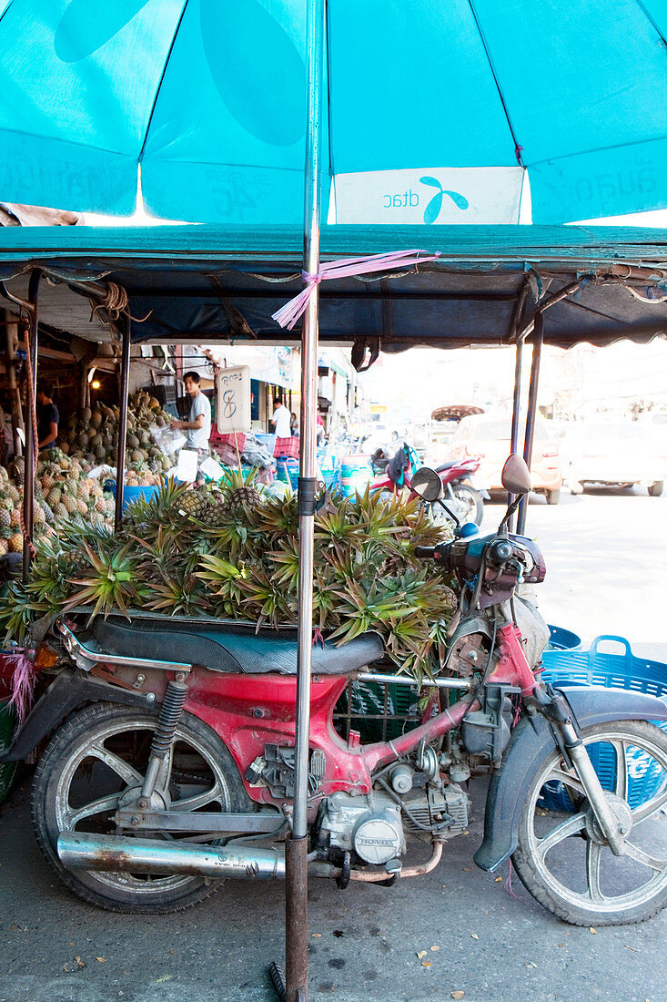Ananas auf einem Motorrad an einem Obstgeschäft, Chiang Mai, Thailand