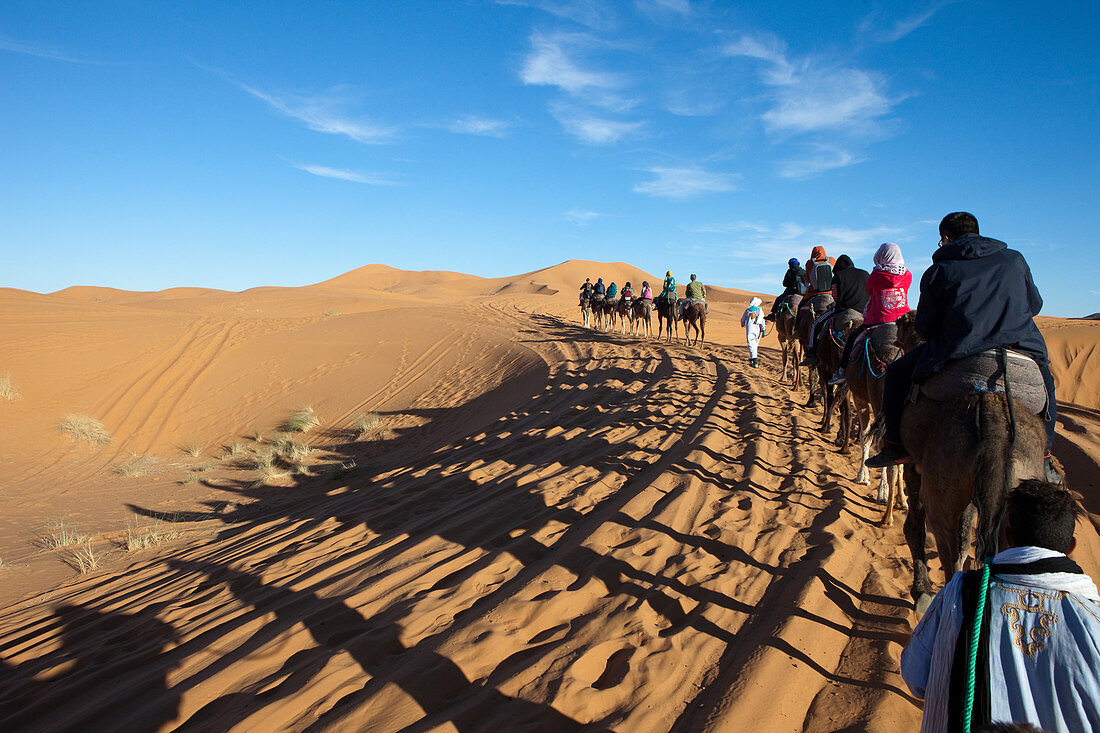 Touristen beim Kameltrekking in der Erg Chebbi Wüste, Erg Chebbi, Merzouga, Errachidia, Marokko