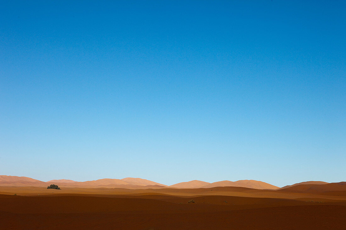 Dune landscape of Erg Chebbi desert, Erg Chebbi, Merzouga, Errachidia, Morocco