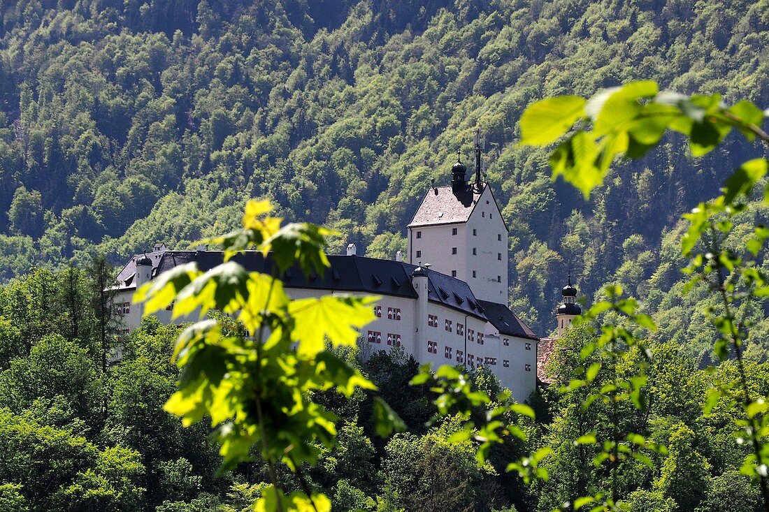 Castle Hohenaschau in front of mountain forest in Aschau im Chiemgau, Bavaria, Germany