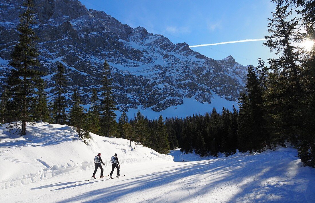 Tour skiers under the Zugspitz summit, Zugspitze, Garmisch-Partenkirchen, winter in Bavaria, Germany