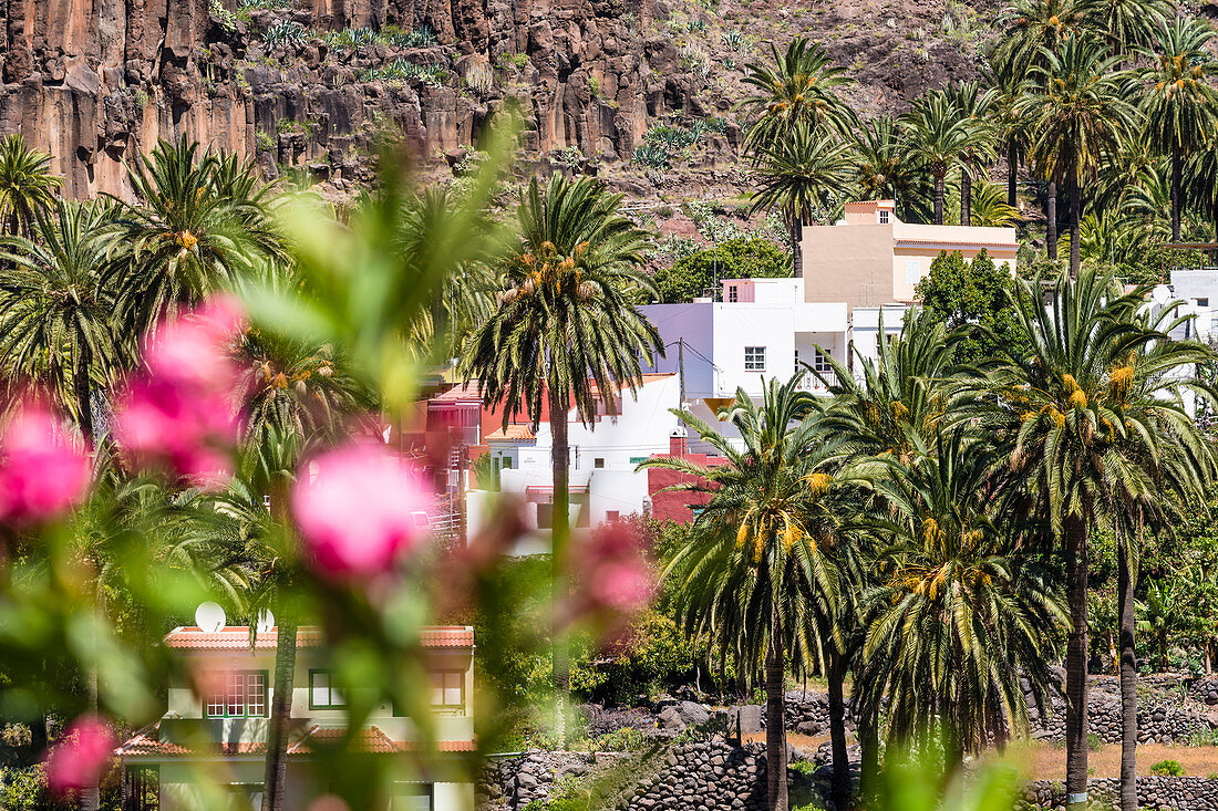 Blick auf Wohnhäuser im "Tal des großen Königs", Valle Gran Rey, La Gomera, Kanarische Inseln, Spanien