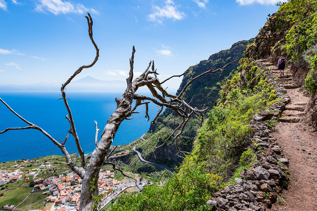 A woman on a steep slope above the village of Agulo with a view of the island of Tenerife and Mount Teide in the background, Agulo, La Gomera, Canary Islands, Spain