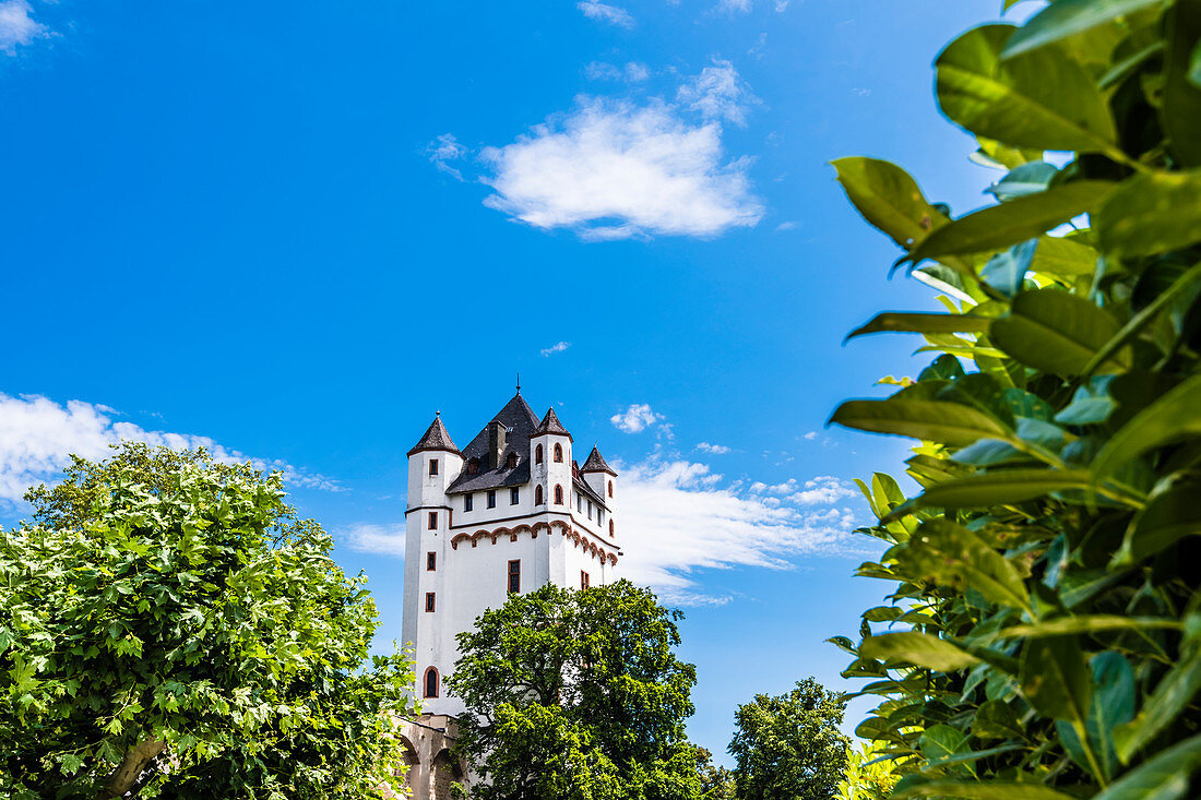 The Electoral Castle on the Rhine, Eltville, Rheingau, Hesse, Germany