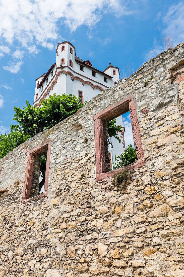 Die Kurfürstliche Burg am Rhein Befestigungsmauer, Eltville, Rheingau, Hessen, Deutschland