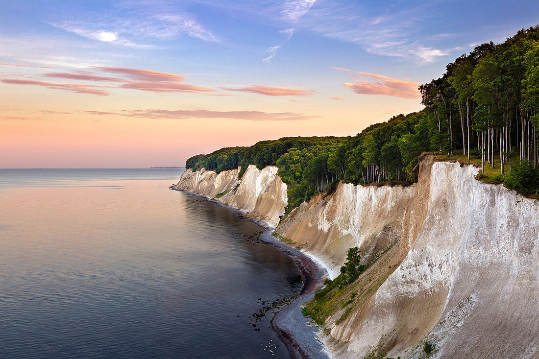 Chalk cliffs, Jasmund National Park, Rügen, Baltic Sea, Mecklenburg-Vorpommern, Germany