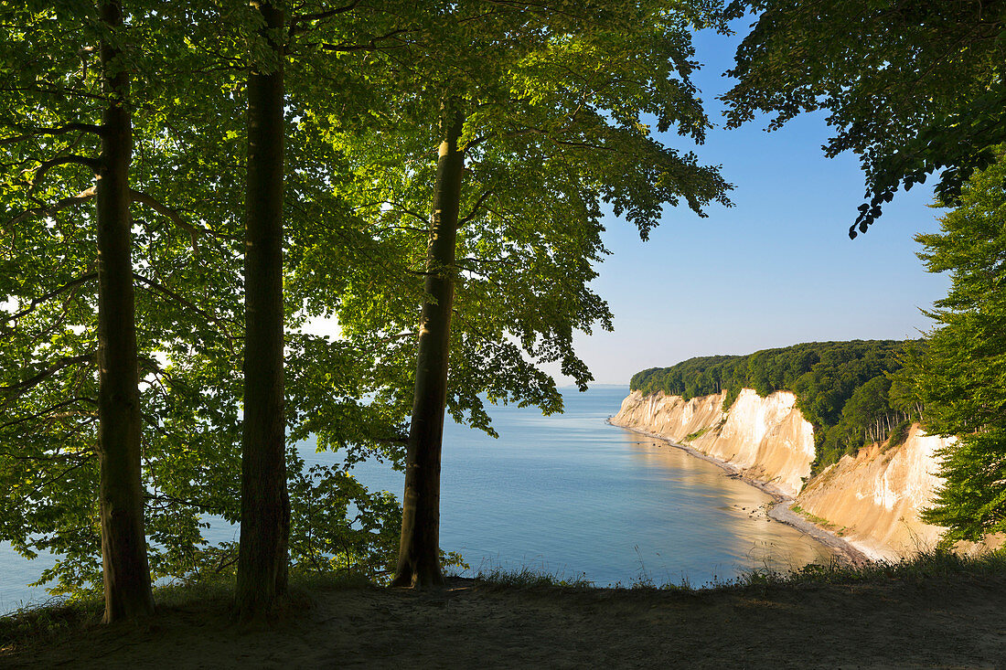 Kreidefelsen, Nationalpark Jasmund, Rügen, Ostsee, Mecklenburg-Vorpommern, Deutschland