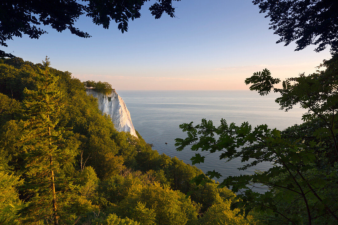 View to the Königsstuhl, Jasmund National Park, Rügen, Baltic Sea, Mecklenburg-Vorpommern, Germany