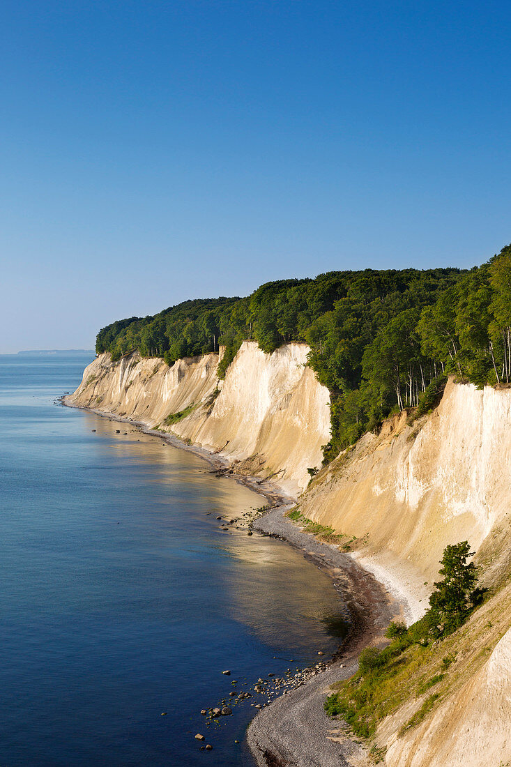 Kreidefelsen, Nationalpark Jasmund, Rügen, Ostsee, Mecklenburg-Vorpommern, Deutschland