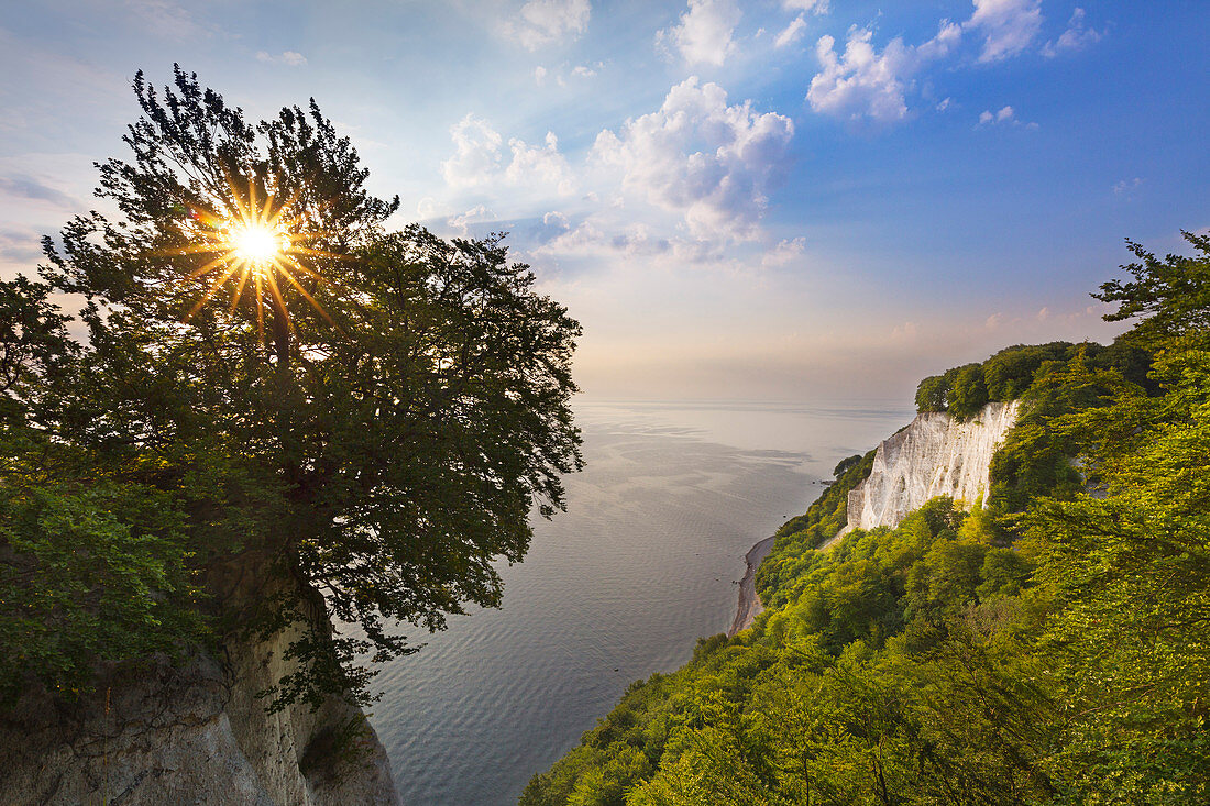 Blick vom Königsstuhl, Nationalpark Jasmund, Rügen, Ostsee, Mecklenburg-Vorpommern, Deutschland