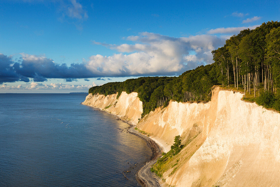 Chalk cliffs, Jasmund National Park, Rügen, Baltic Sea, Mecklenburg-Vorpommern, Germany