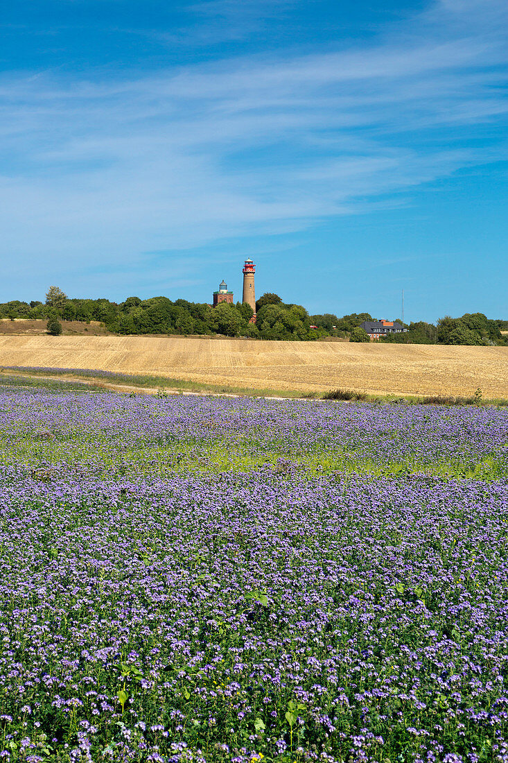 Flachsfeld, Alter und Neuer Leuchtturm am Kap Arkona, Rügen, Ostsee, Mecklenburg-Vorpommern, Deutschland