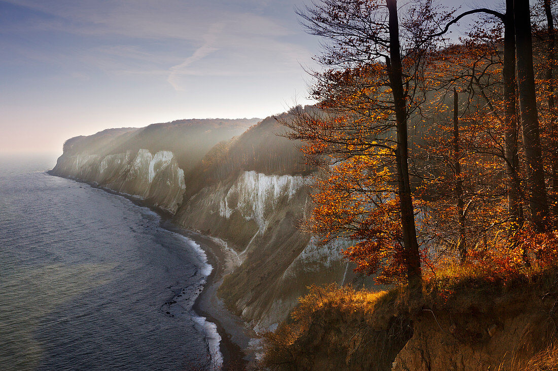 Chalk cliffs, Jasmund National Park, Rügen, Baltic Sea, Mecklenburg-Vorpommern, Germany