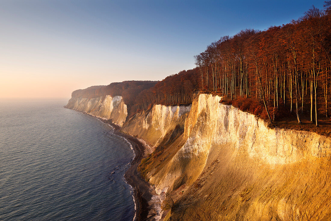 Chalk cliffs, Jasmund National Park, Rügen, Baltic Sea, Mecklenburg-Vorpommern, Germany