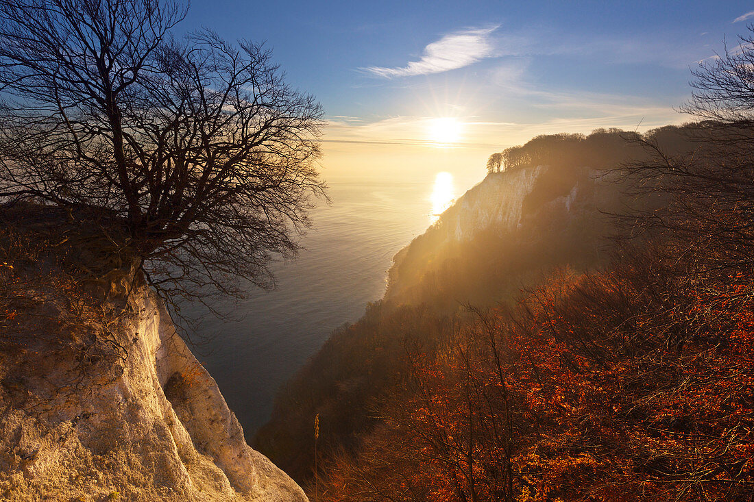 View from Königsstuhl, Jasmund National Park, Rügen, Baltic Sea, Mecklenburg-Vorpommern, Germany