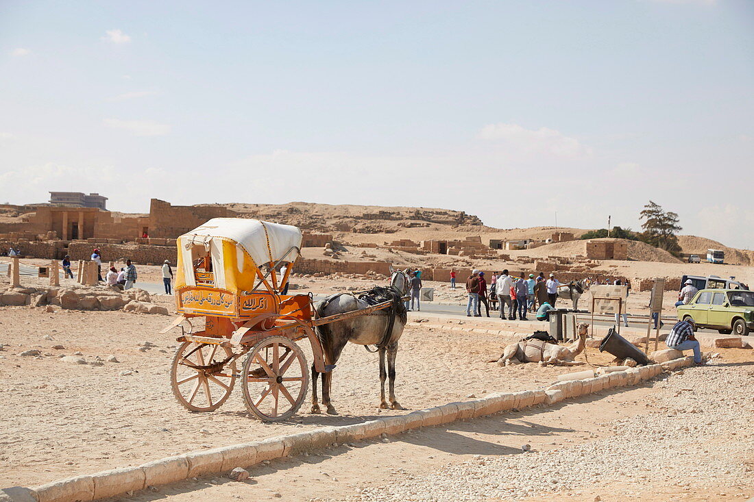 Der Blick auf den Nil, eine Reise vom Oberlauf des Nils bis zu seinem Delta, zeigt den Ruhm und das atemberaubende Ausmaß der ägyptischen Geschichte und ihrer großartigen Monumente