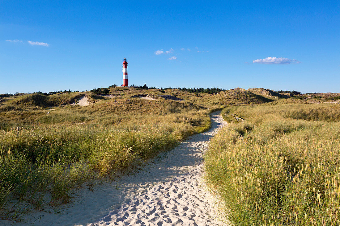 Weg zum Strand, Leuchtturm, Amrum, Nordsee, Schleswig-Holstein, Deutschland