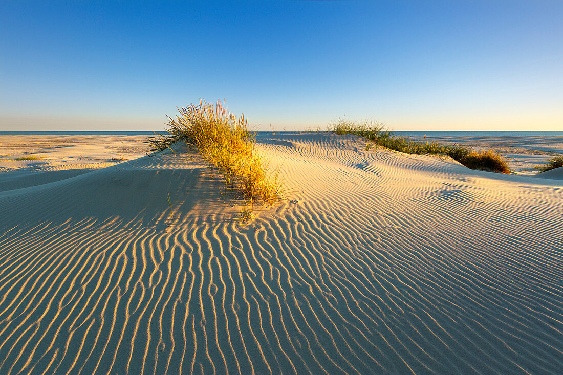 Kniepsand auf Amrum, Nordsee, Schleswig-Holstein, Deutschland