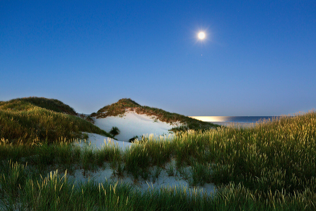 Full moon, Kniepsand, Amrum, North Sea, Schleswig-Holstein, Germany