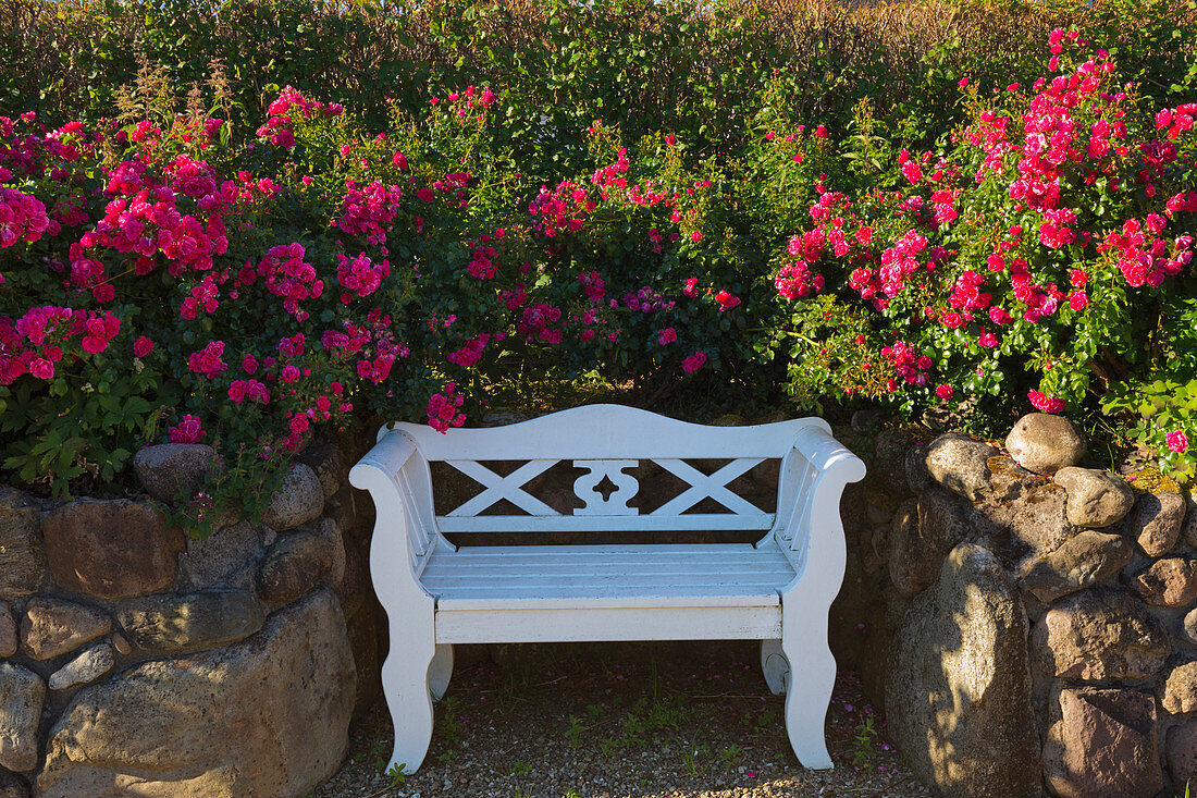 Flower arrangement and bank, Amrum, North Sea, Schleswig-Holstein, Germany