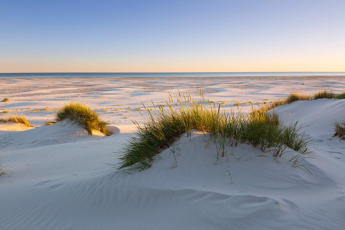 Kniepsand, Amrum, Nordsee, Schleswig-Holstein, Deutschland