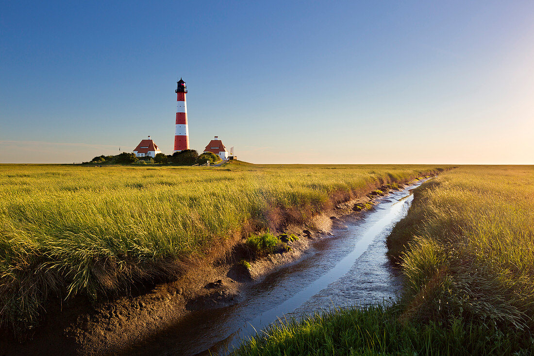 Priel durch die Salzwiesen am Leuchtturm Westerhever, Nordsee, Schleswig-Holstein, Deutschland