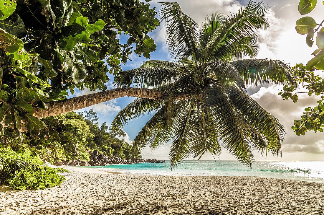 Anse Georgette beach on the island Praslin Seychelles