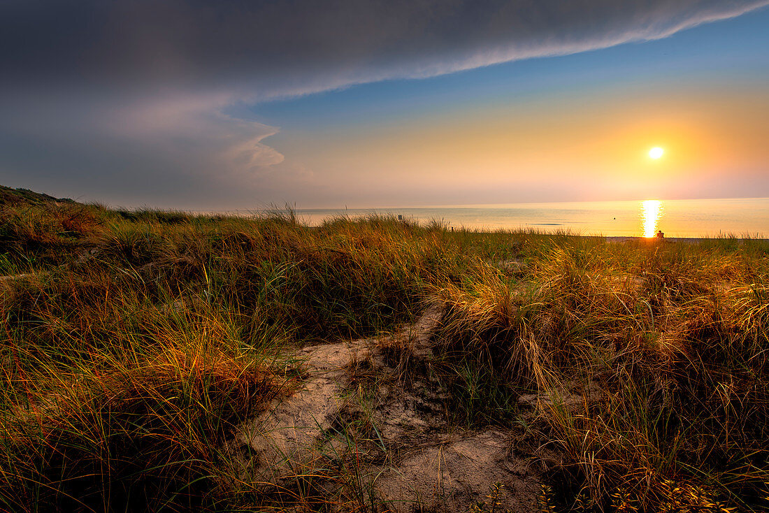 Dünenlandschaft bei Sonnenuntergang am Ostseestrand von Darß, Mecklenburg-Vorpommern