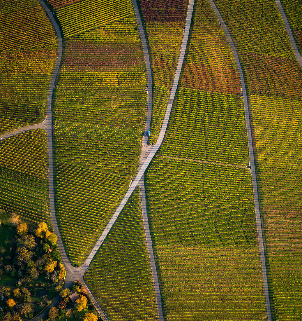 View from above textured green farmland crops
