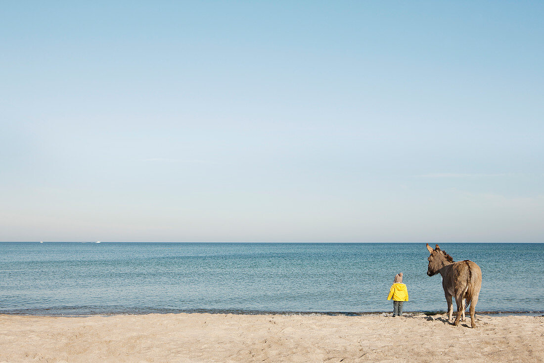 Girl and donkey at beach, Wiendorf, Mecklenburg-Vorpommern, Germany