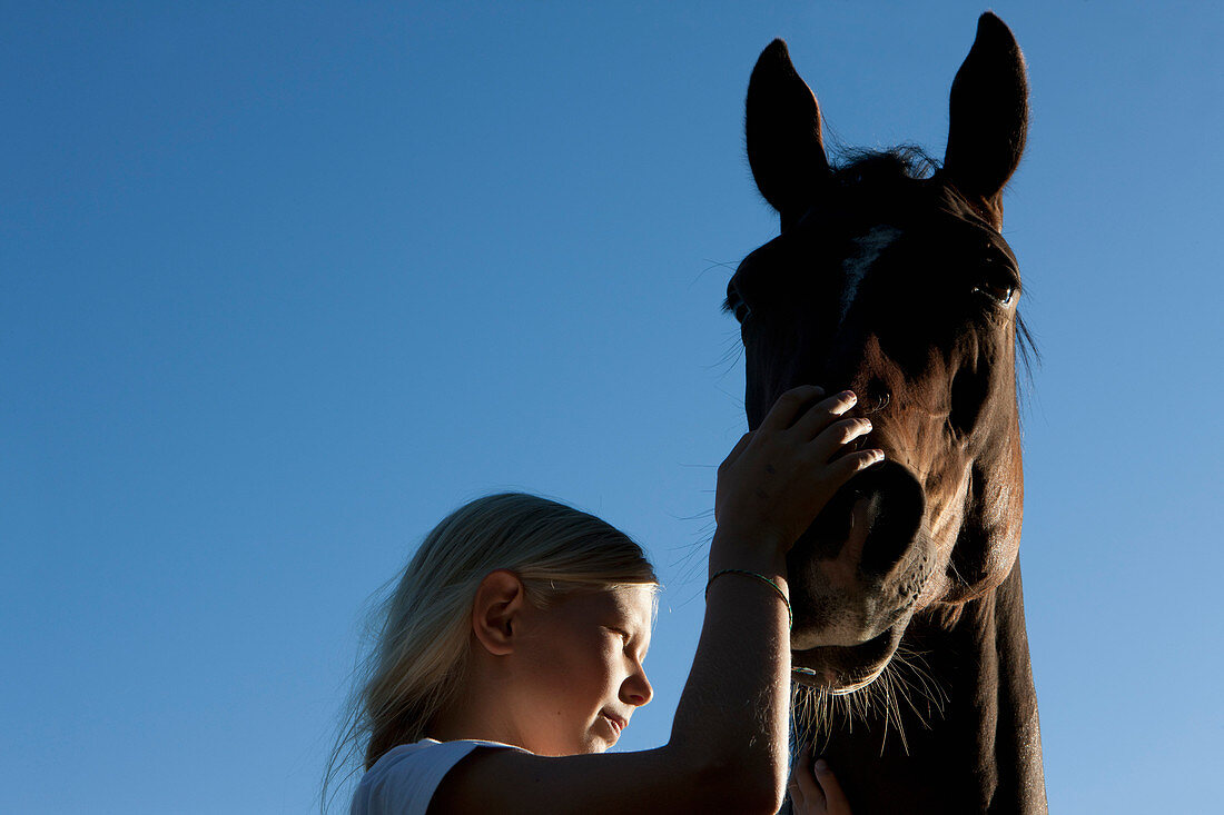 Girl petting muzzle of horse under blue sky