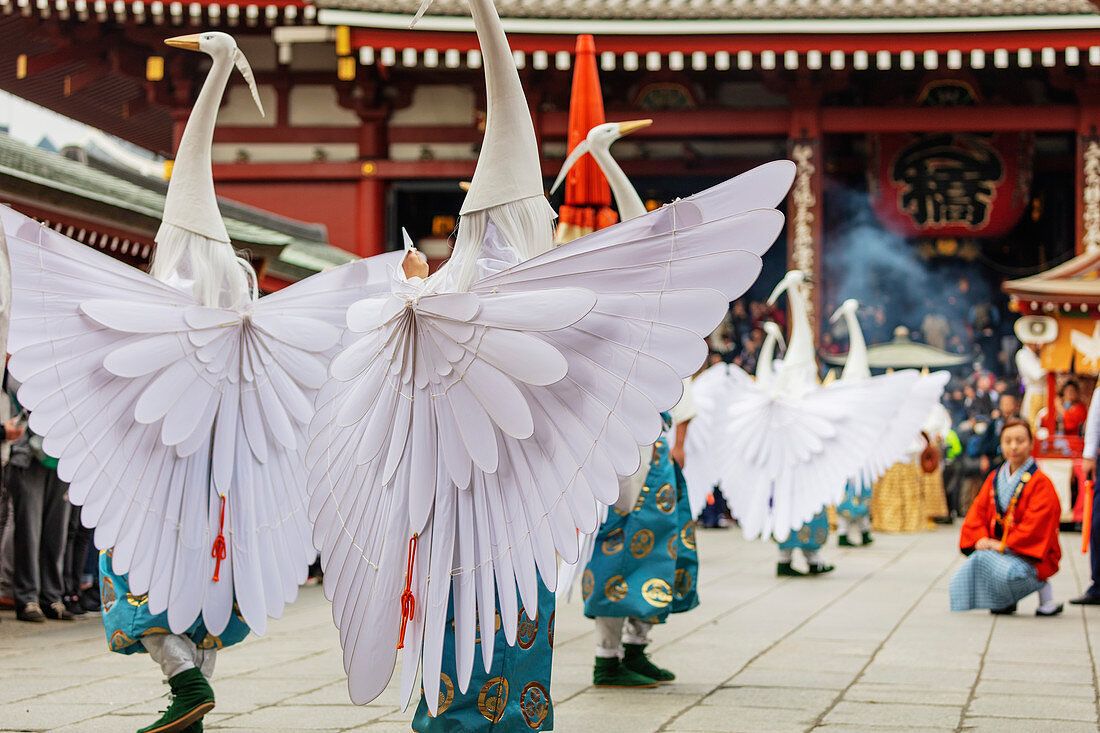 Festival der Hakucho-Höckerschwäne (weißer Reiher), Sensoji-Tempel, Asakusa, Tokyo, Japan, Asien