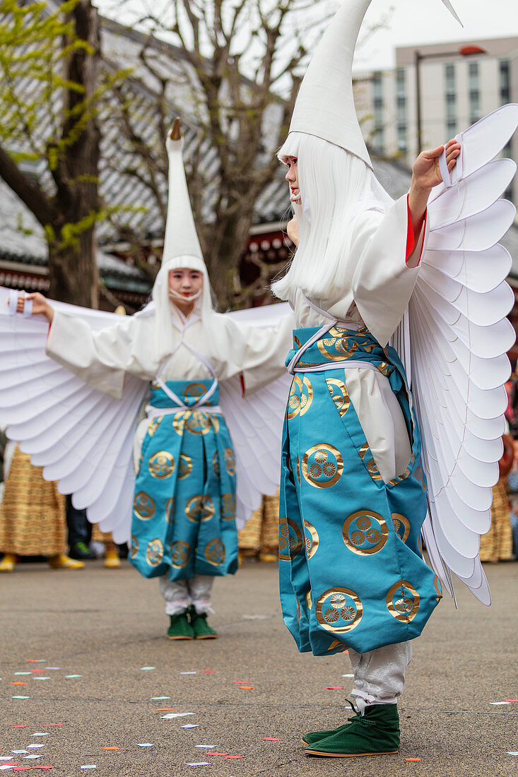 Festival der Hakucho-Höckerschwäne (weißer Reiher), Sensoji-Tempel, Asakusa, Tokyo, Japan, Asien