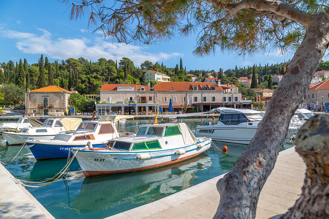 Blick auf Boote im Hafen von Cavtat an der Adria, Cavtat, Dubrovnik Riviera, Kroatien, Europa