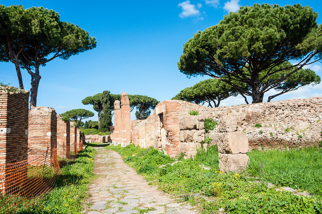 Cardo Maximus, archäologische Ausgrabungstätte Ostia Antica, Provinz Ostia, Rom, Latium, Italien, Europa