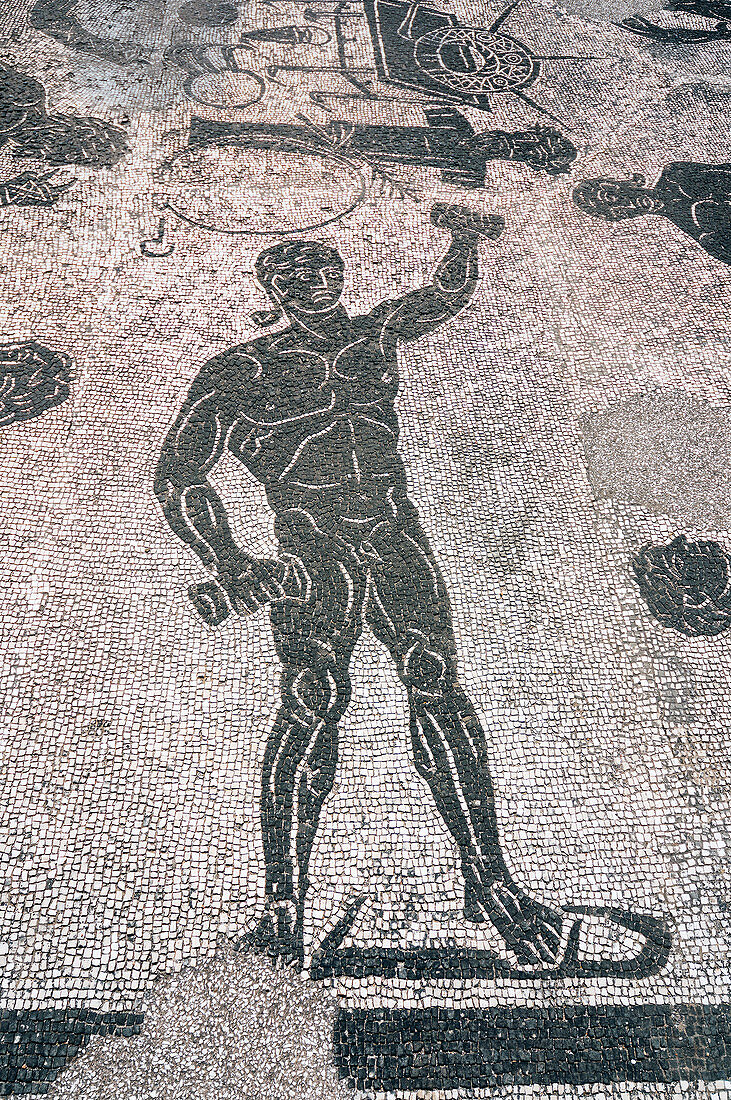 Mosaics, Terme di Porta Marina, Ostia Antica archaeological site, Ostia, Rome province, Lazio, Italy, Europe