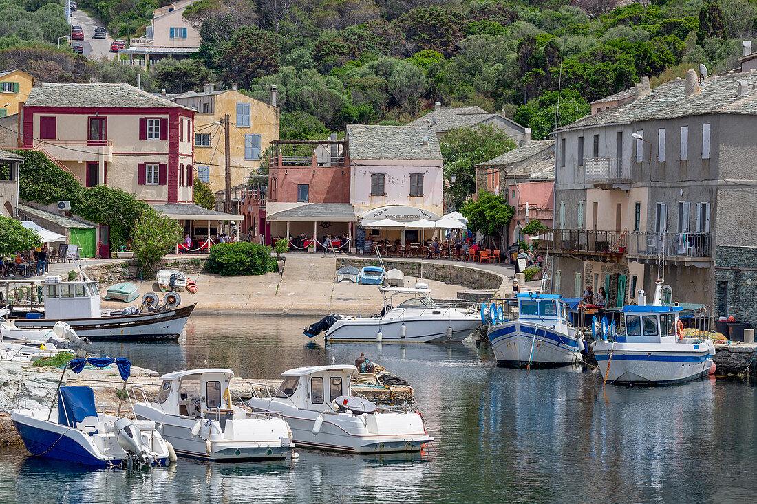 Das kleine Fischerdorf Port de Centuri am Cap Corse, dem nördlichsten Punkt von Korsika, Frankreich, Mittelmeer, Europa