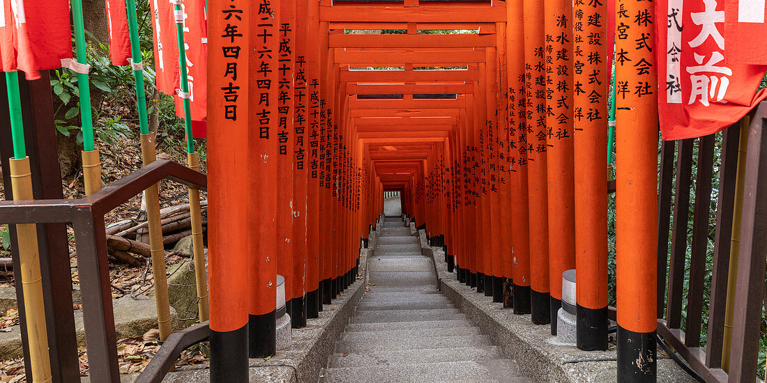 Torii gates at Hie Shrine in Chiyoda, Tokyo, Japan, Asia