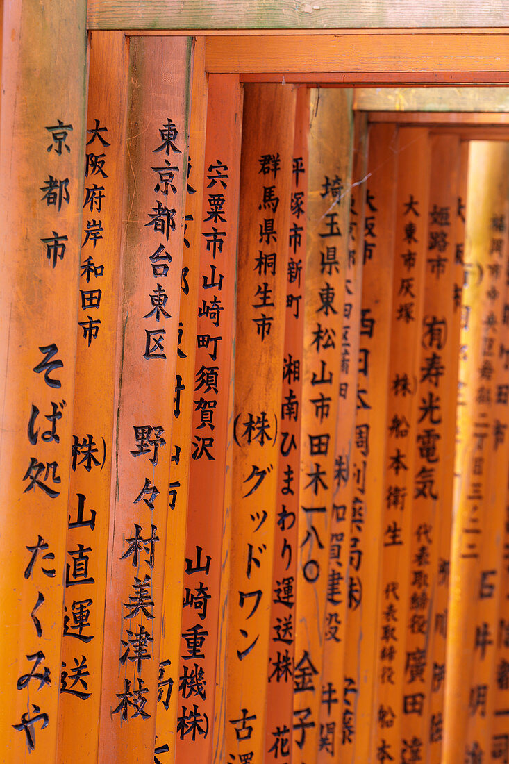 Vermilion torii gates at the Fushimi Inari Shrine in Kyoto, Japan, Asia