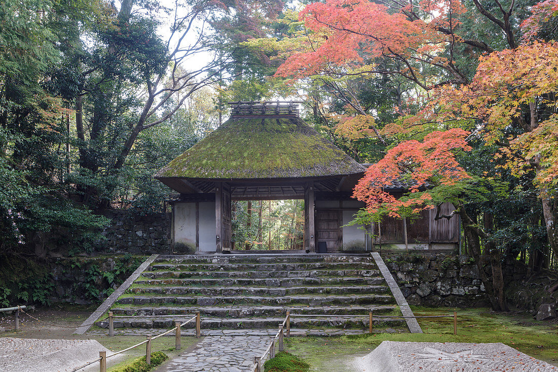 Herbstfarbe im Honen-in Tempel, ein buddhistischer Tempel gelegen auf dem Weg des Philosophen, Kyoto, Japan, Asien