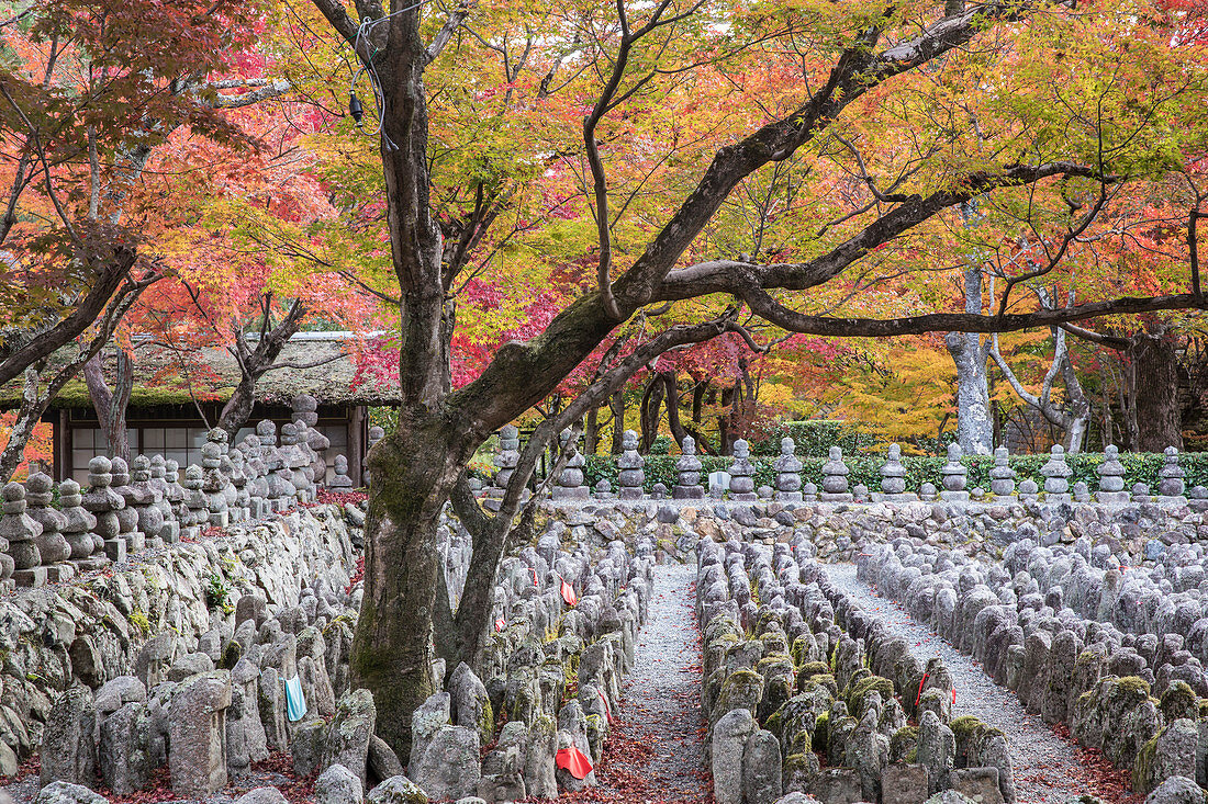 Adashino Nenbutsu-Ji Tempel, gewidmet den Seelen, die ohne Familien gestorben sind, Arashiyama, Kyoto, Japan, Asien