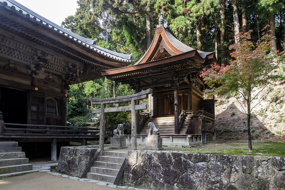 Shoshazan Engyo-ji Tempel auf Berg Shosha, Himeji, Kansai, Japan, Asien
