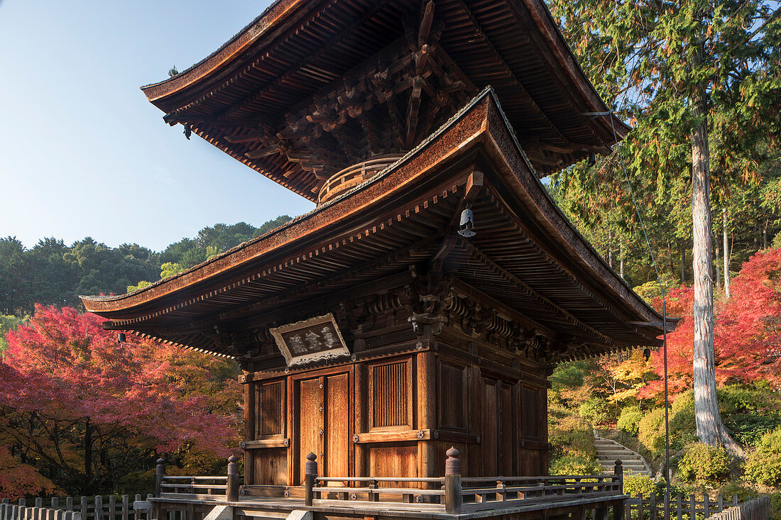 Herbstfarbe in Jojakko-ji Tempel in Arashiyama, Kyoto, Japan, Asien