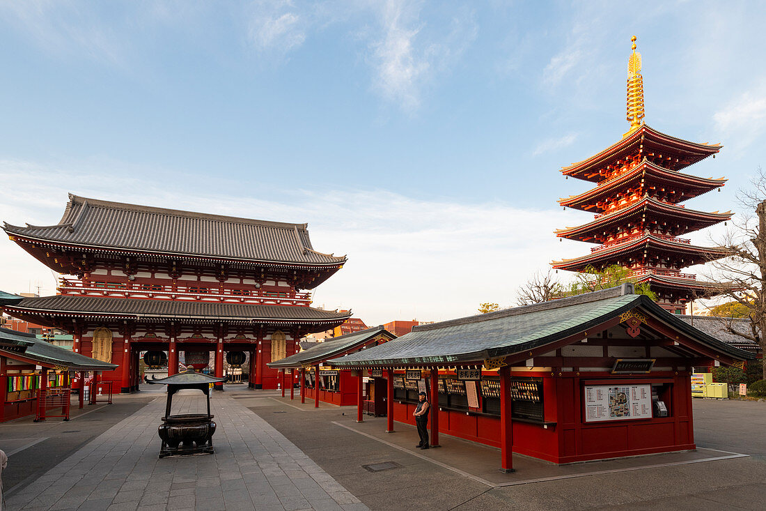 Sensoji-Tempel in der Kirschblütenzeit, Tokyo, Japan, Asien