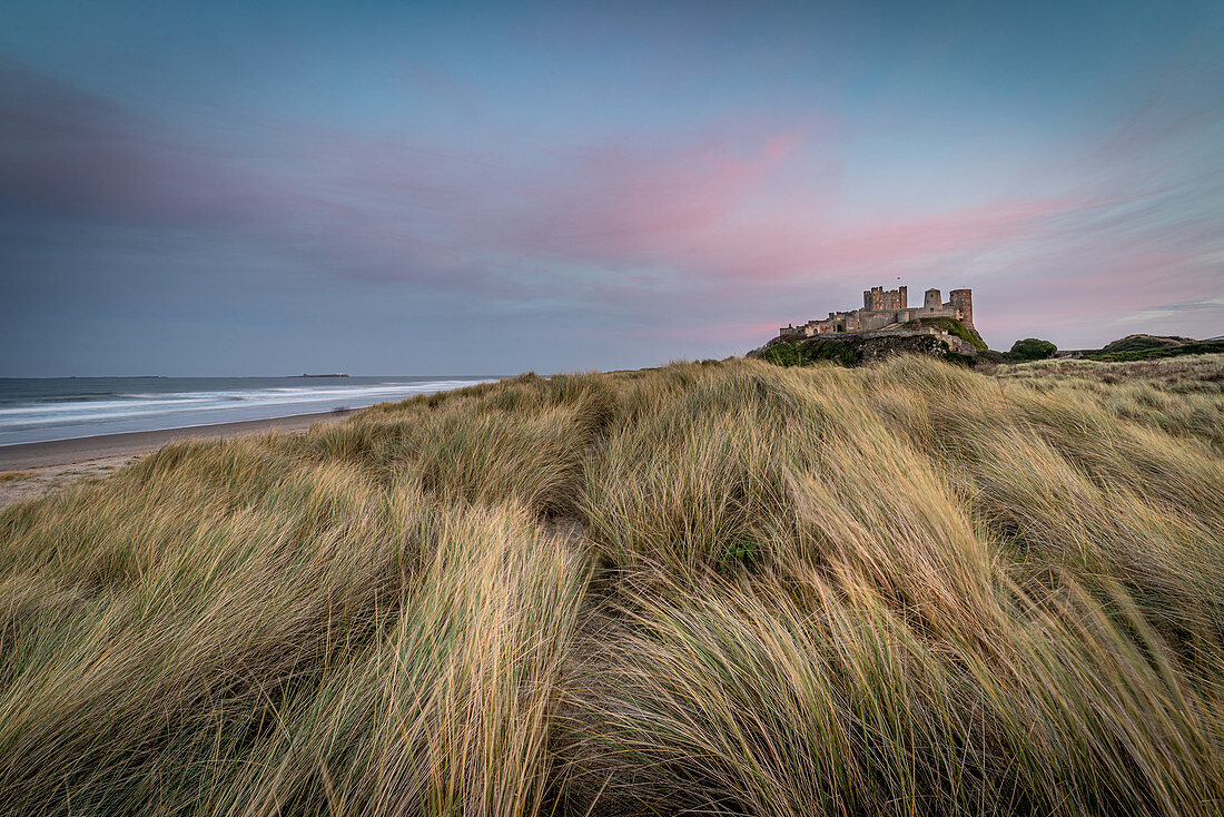 Sunset at Bamburgh Castle, Bamburgh, Northumberland, England, United Kingdom, Europe